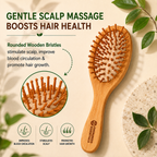 Paddle Brush – Oval Shape