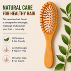 Paddle Brush – Oval Shape