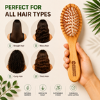 Paddle Brush – Oval Shape